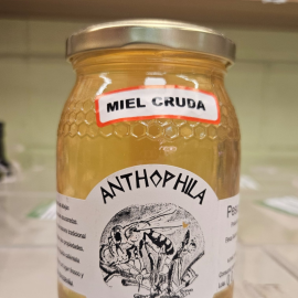 Mel d'Espígol bio 500 g 