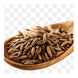 Comí en grà (50 g)