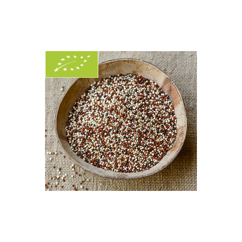 Quinoa tricolor bio