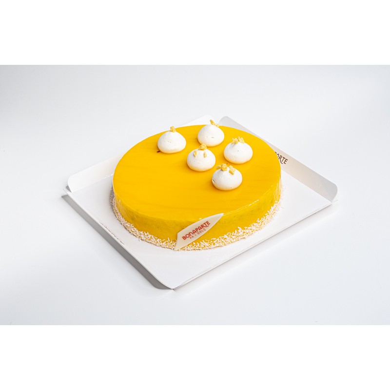 Mousse Pacific petit