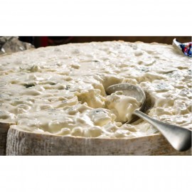 Formatge Gorgonzola de cullera - 26,90€/kg