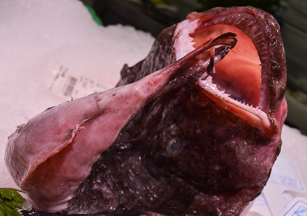 Imagen 4 de Peixateria Cal Músic