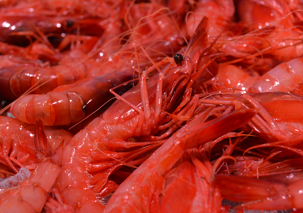 Imagen 4 de Peixateria Costa Pujol