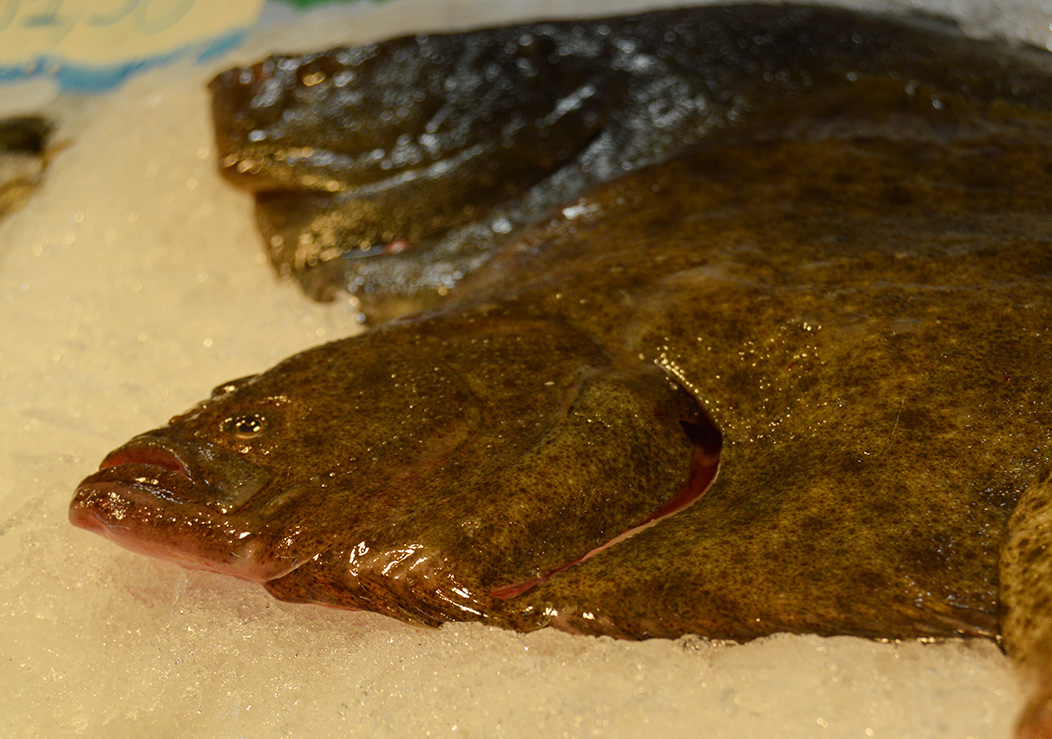 Imagen 5 de Peixateria Foc de Gel