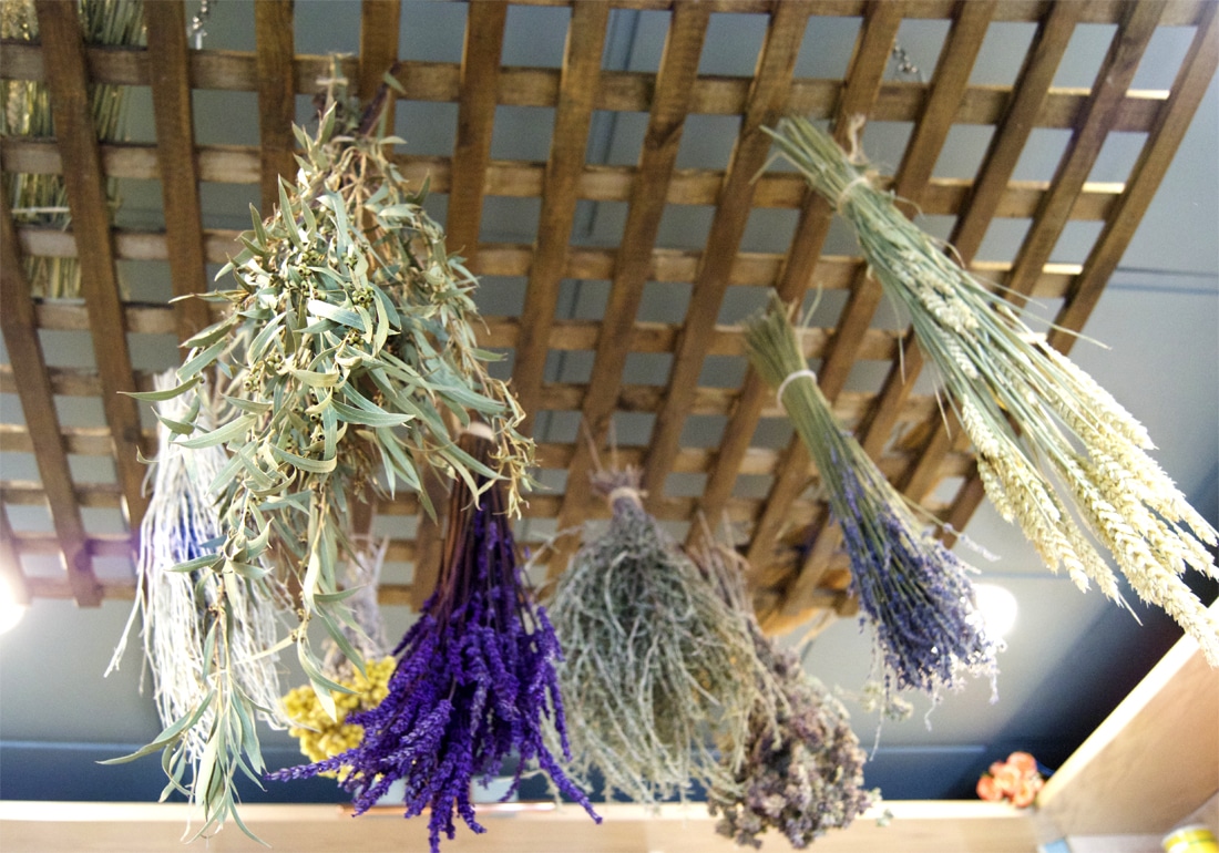 Imagen 4 de Herboristeria Arbor Vitae