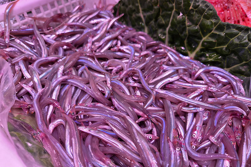 Imagen 8 de Peixateria Nova Vallés