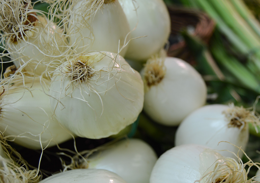 Imagen 3 de Fruiteria Casanovas