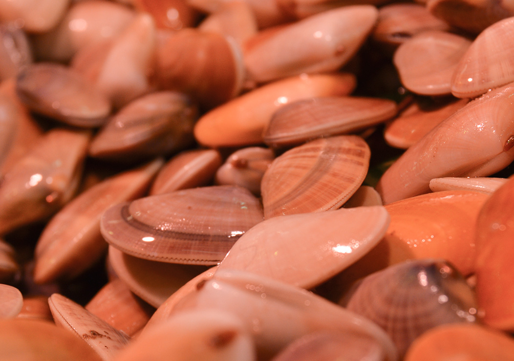 Imagen 3 de Peixateries Carrillo