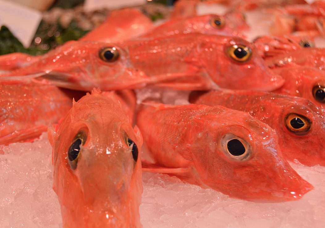 Imagen 5 de Peixateries Carrillo